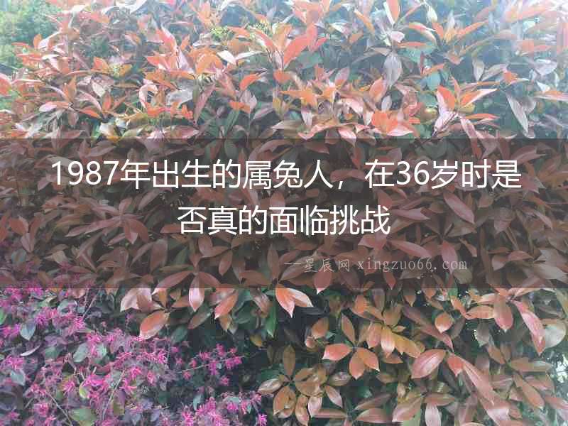 1987年出生的屬兔人，在36歲時是否真的面臨挑戰
