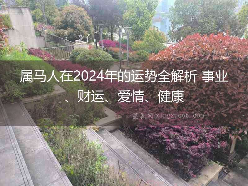 屬馬人在2024年的運(yùn)勢(shì)全解析 事業(yè)、財(cái)運(yùn)、愛情、健康
