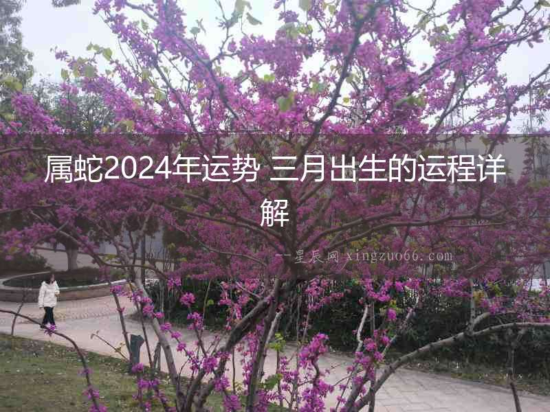 屬蛇2024年運勢 三月出生的運程詳解