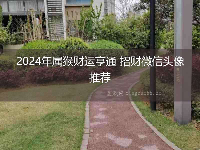 2024年屬猴財(cái)運(yùn)亨通 招財(cái)微信頭像推薦