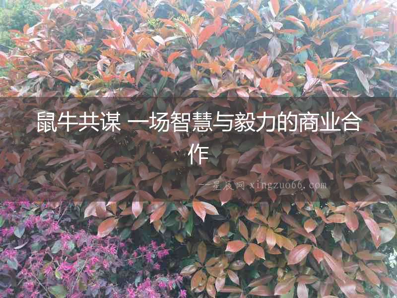 鼠牛共謀 一場(chǎng)智慧與毅力的商業(yè)合作