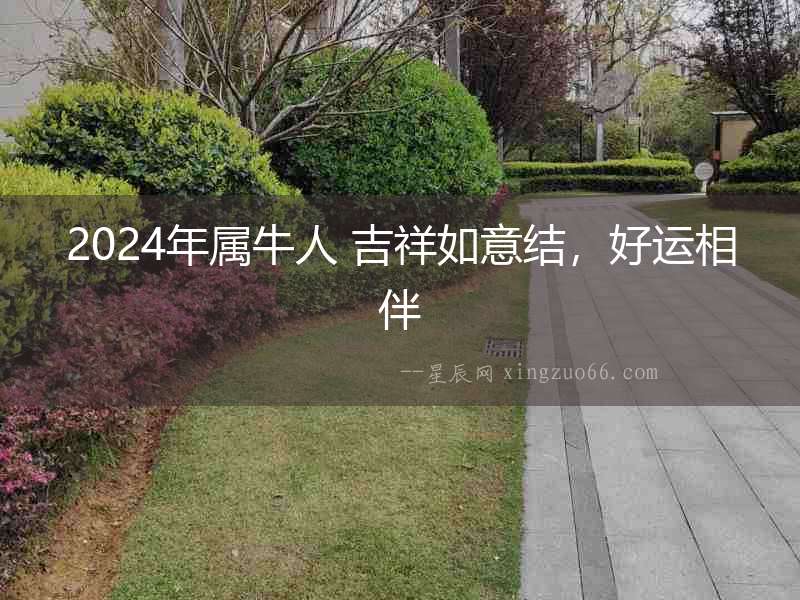 2024年屬牛人 吉祥如意結，好運相伴