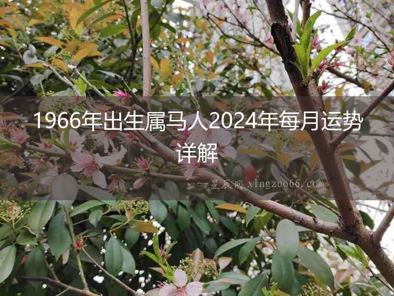 1966年出生屬馬人2024年每月運勢詳解