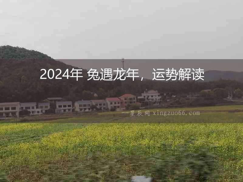 2024年 兔遇龍年，運(yùn)勢解讀