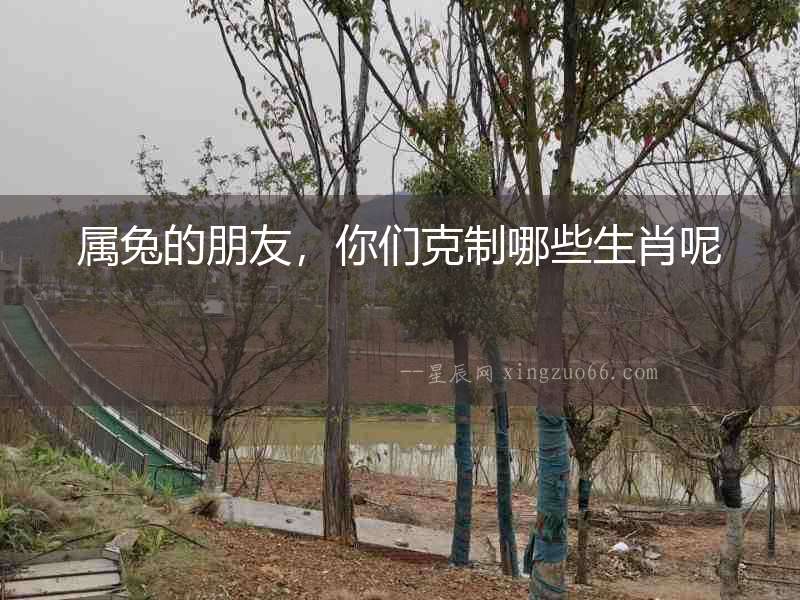 屬兔的朋友，你們克制哪些生肖呢