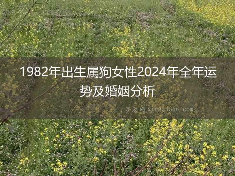 1982年出生屬狗女性2024年全年運勢及婚姻分析