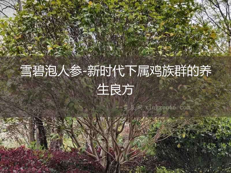雪碧泡人參-新時代下屬雞族群的養生良方