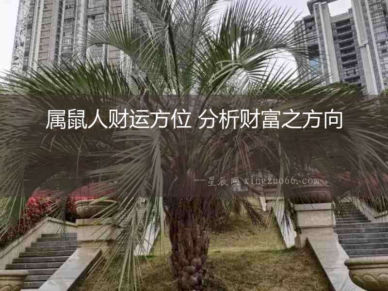 屬鼠人財(cái)運(yùn)方位 分析財(cái)富之方向