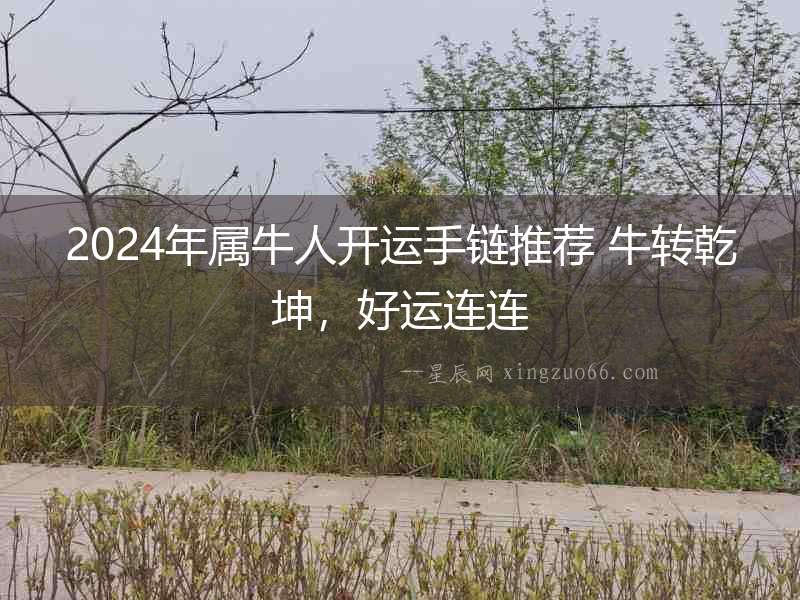 2024年屬牛人開運手鏈推薦 牛轉乾坤，好運連連