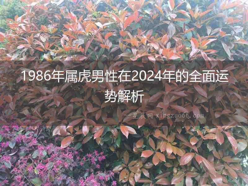 1986年屬虎男性在2024年的全面運勢解析