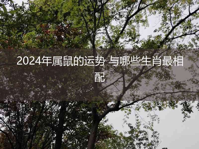 2024年屬鼠的運(yùn)勢(shì) 與哪些生肖最相配