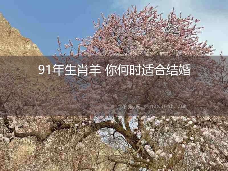 91年生肖羊 你何時適合結婚