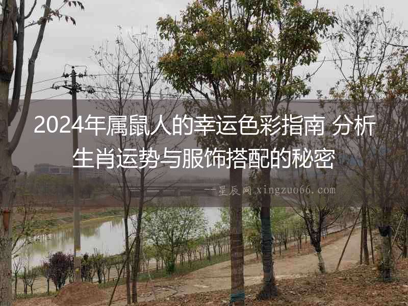 2024年屬鼠人的幸運(yùn)色彩指南 分析生肖運(yùn)勢(shì)與服飾搭配的秘密