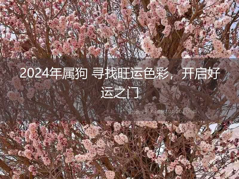 2024年屬狗 尋找旺運色彩，開啟好運之門