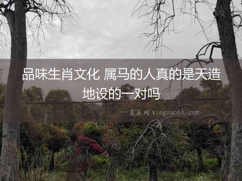 品味生肖文化 屬馬的人真的是天造地設(shè)的一對嗎