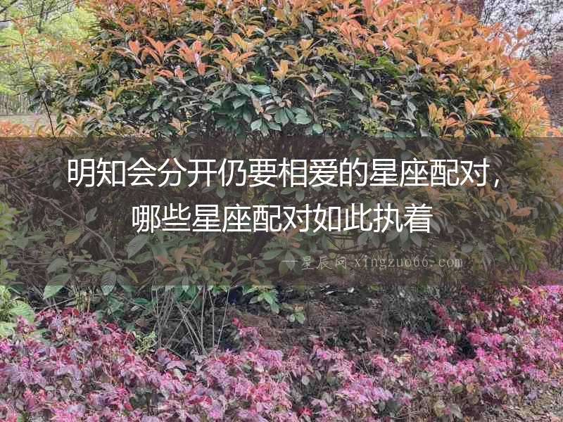 明知會(huì)分開仍要相愛的星座配對，哪些星座配對如此執(zhí)著