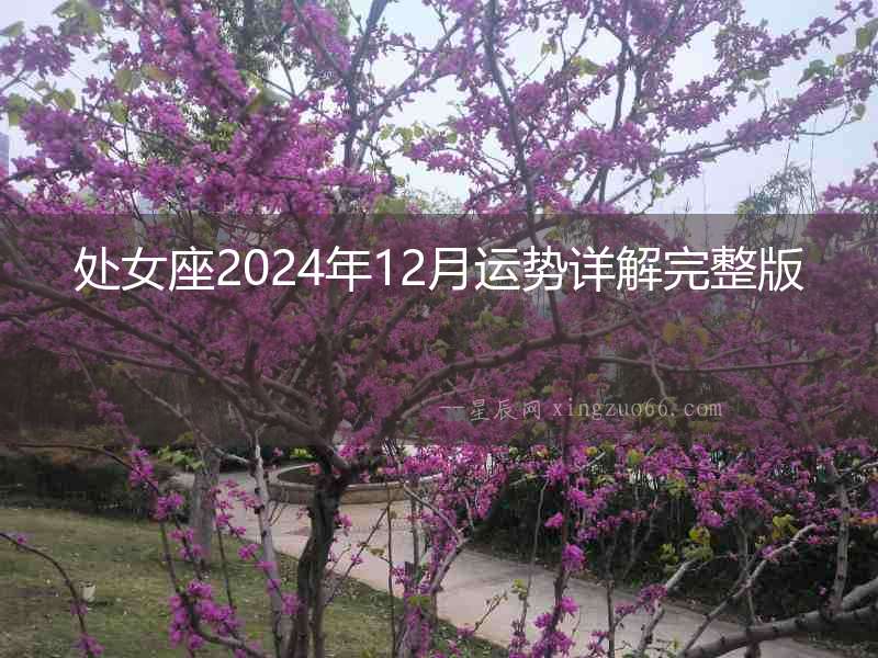 處女座2024年12月運勢詳解完整版