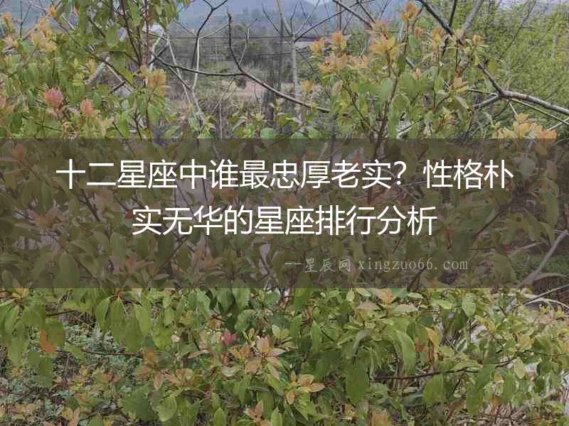 十二星座中誰最忠厚老實？性格樸實無華的星座排行分析