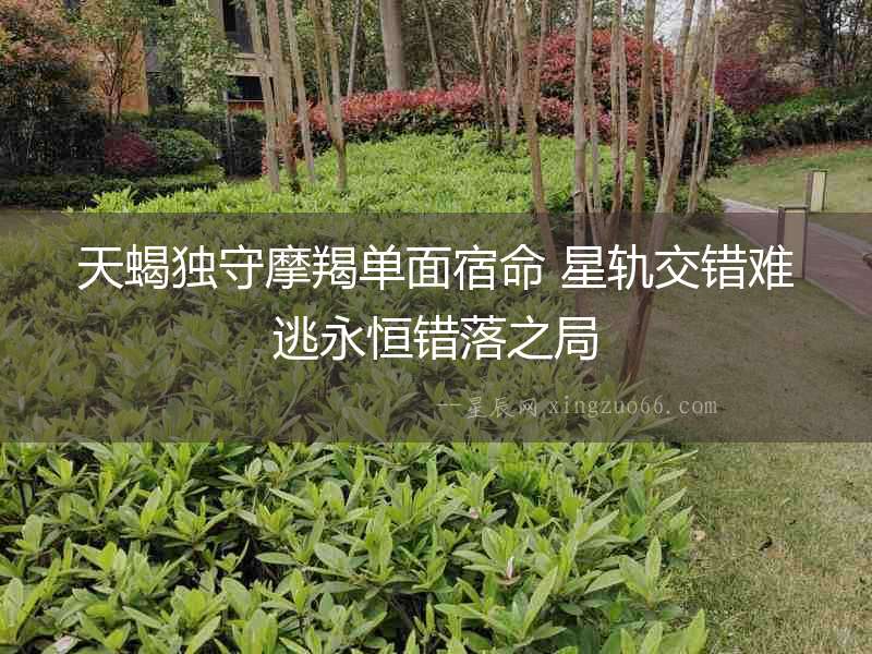 天蝎獨守摩羯單面宿命 星軌交錯難逃永恒錯落之局
