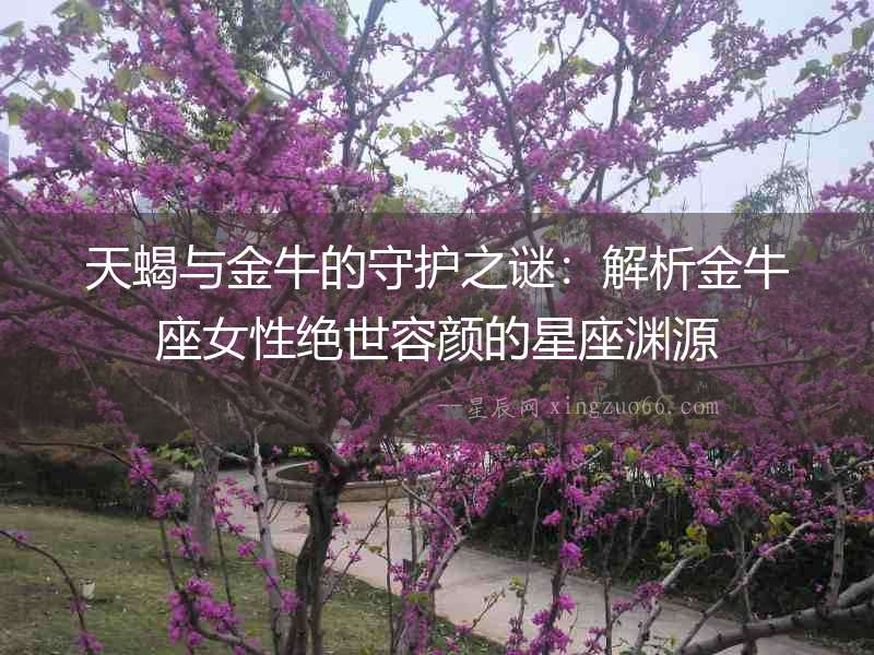 天蝎與金牛的守護之謎：解析金牛座女性絕世容顏的星座淵源