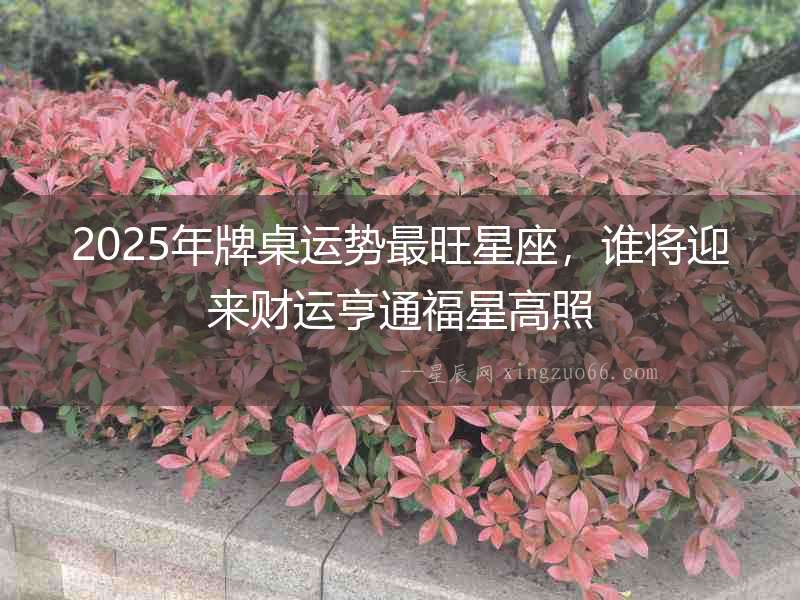 2025年牌桌運勢最旺星座，誰將迎來財運亨通福星高照
