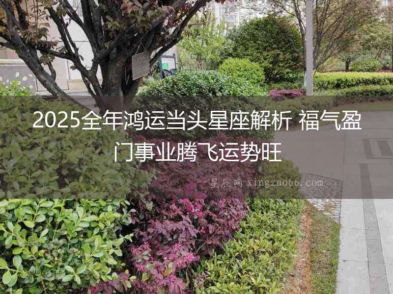 2025全年鴻運當(dāng)頭星座解析 福氣盈門事業(yè)騰飛運勢旺