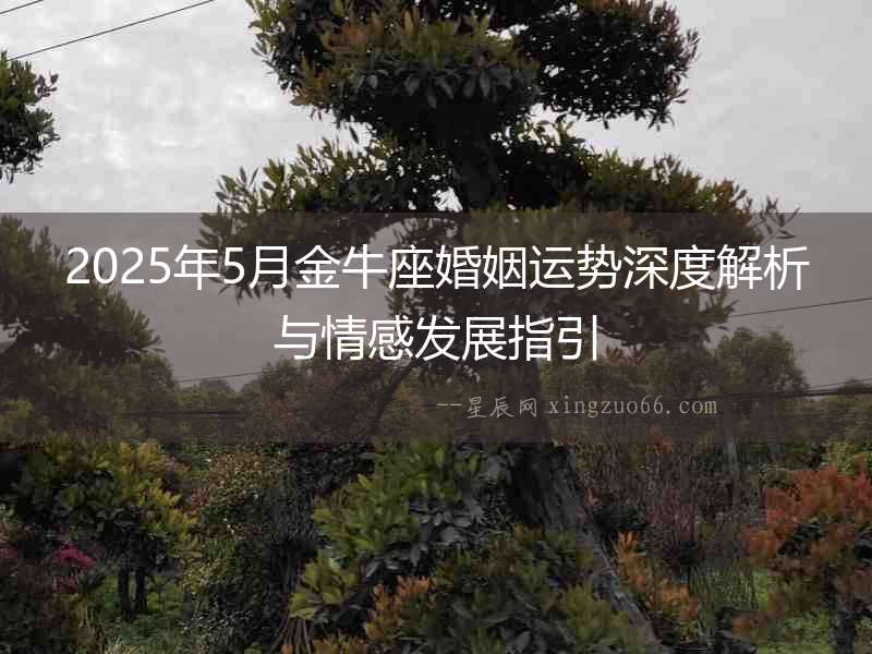 2025年5月金牛座婚姻運(yùn)勢(shì)深度解析與情感發(fā)展指引