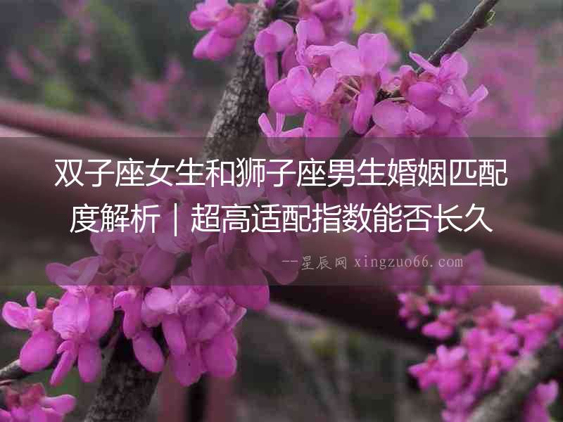 雙子座女生和獅子座男生婚姻匹配度解析｜超高適配指數(shù)能否長久