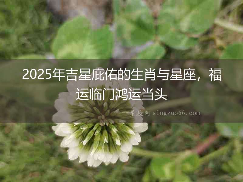2025年吉星庇佑的生肖與星座，福運臨門鴻運當(dāng)頭