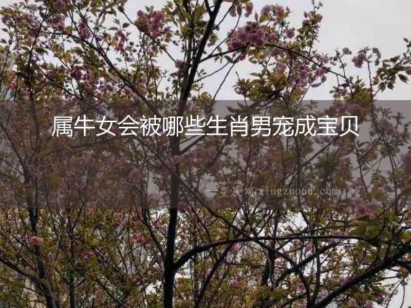屬牛女會(huì)被哪些生肖男寵成寶貝