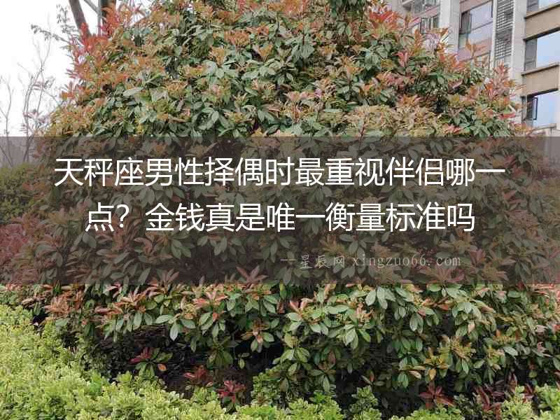 天秤座男性擇偶時(shí)最重視伴侶哪一點(diǎn)？金錢(qián)真是唯一衡量標(biāo)準(zhǔn)嗎