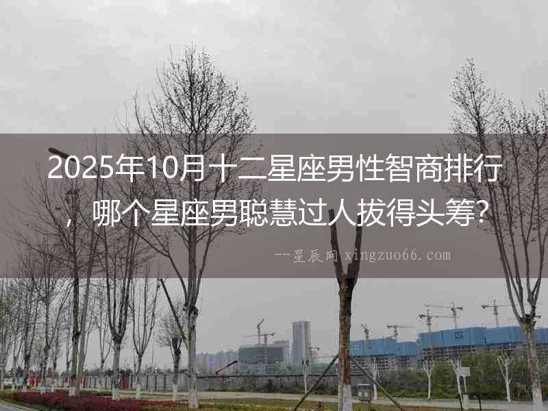 2025年10月十二星座男性智商排行，哪個星座男聰慧過人拔得頭籌？