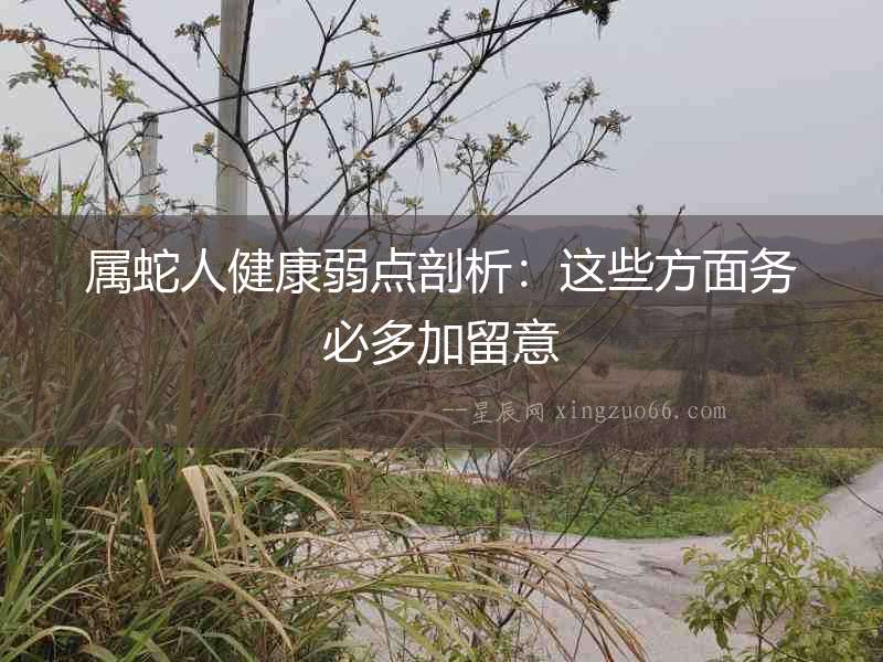 屬蛇人健康弱點(diǎn)剖析：這些方面務(wù)必多加留意