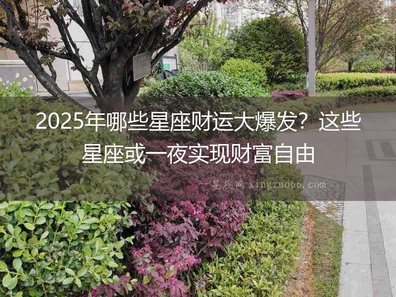 2025年哪些星座財運大爆發(fā)？這些星座或一夜實現(xiàn)財富自由