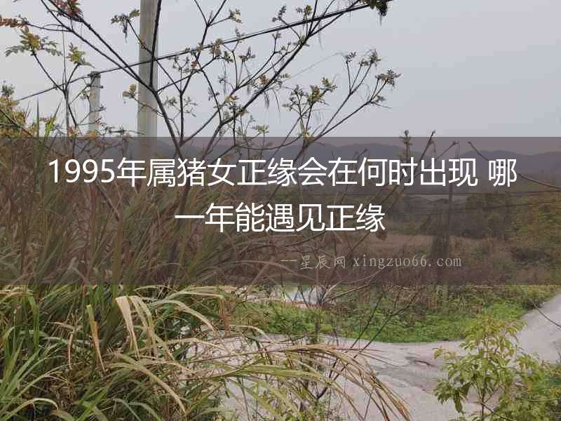 1995年屬豬女正緣會在何時出現 哪一年能遇見正緣