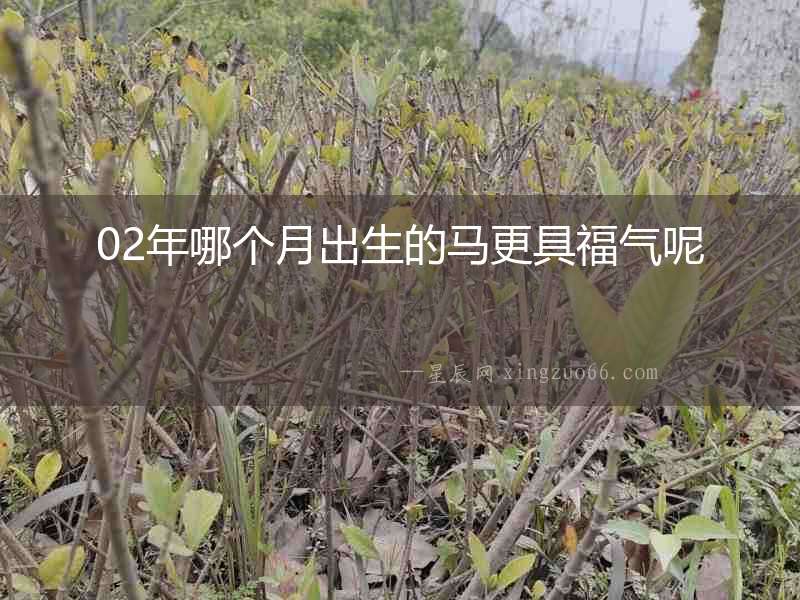 02年哪個月出生的馬更具福氣呢