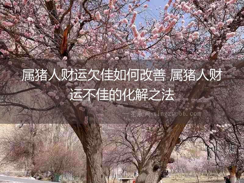 屬豬人財運欠佳如何改善 屬豬人財運不佳的化解之法