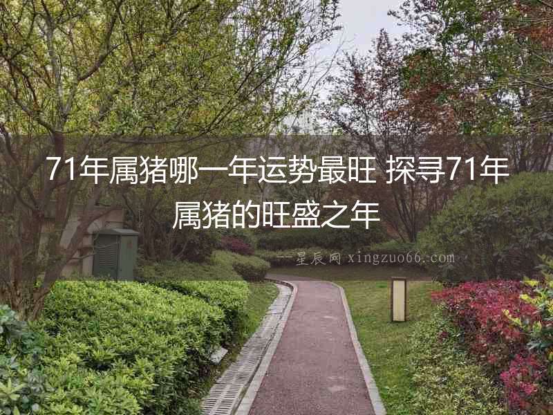 71年屬豬哪一年運勢最旺 探尋71年屬豬的旺盛之年