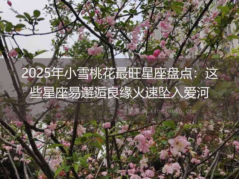 2025年小雪桃花最旺星座盤點(diǎn)：這些星座易邂逅良緣火速墜入愛河