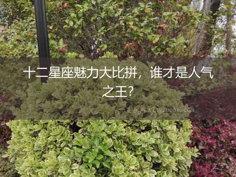 十二星座魅力大比拼，誰才是人氣之王？