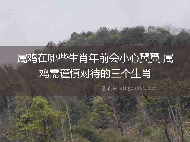 屬雞在哪些生肖年前會小心翼翼 屬雞需謹慎對待的三個生肖