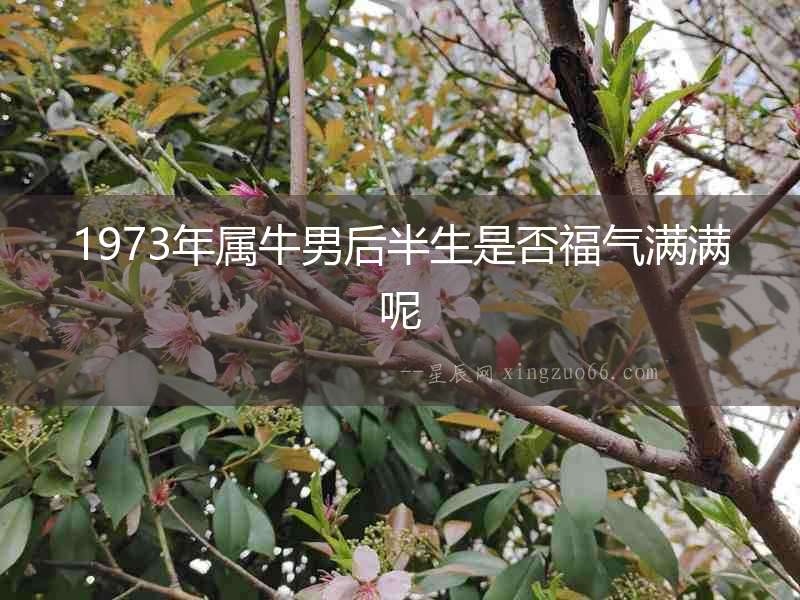 1973年屬牛男后半生是否福氣滿(mǎn)滿(mǎn)呢