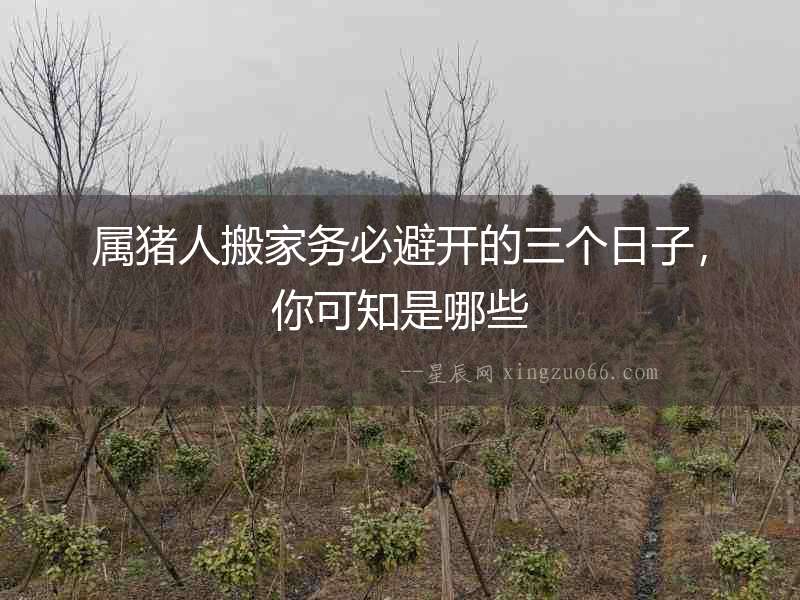 屬豬人搬家務必避開的三個日子，你可知是哪些