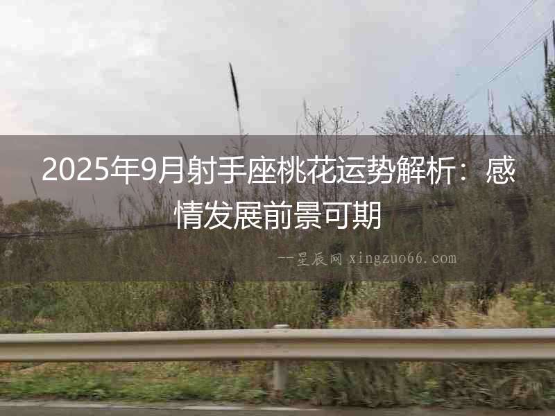 2025年9月射手座桃花運勢解析：感情發展前景可期