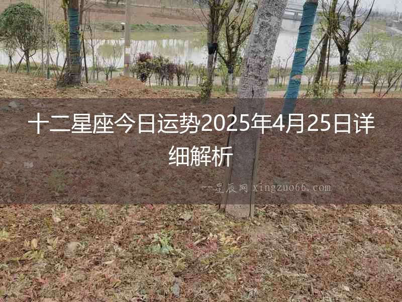 十二星座今日運(yùn)勢2025年4月25日詳細(xì)解析
