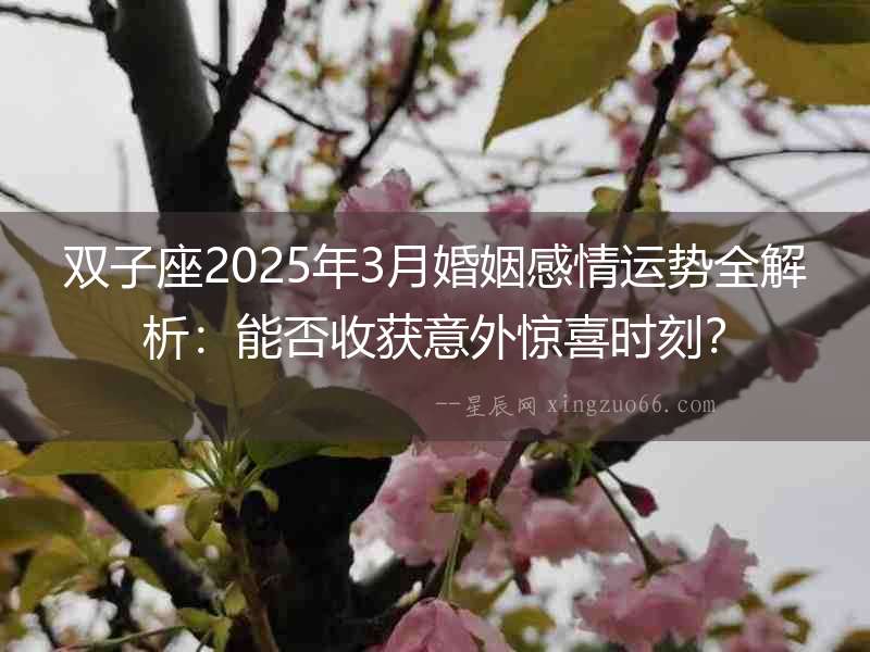 雙子座2025年3月婚姻感情運勢全解析：能否收獲意外驚喜時刻？
