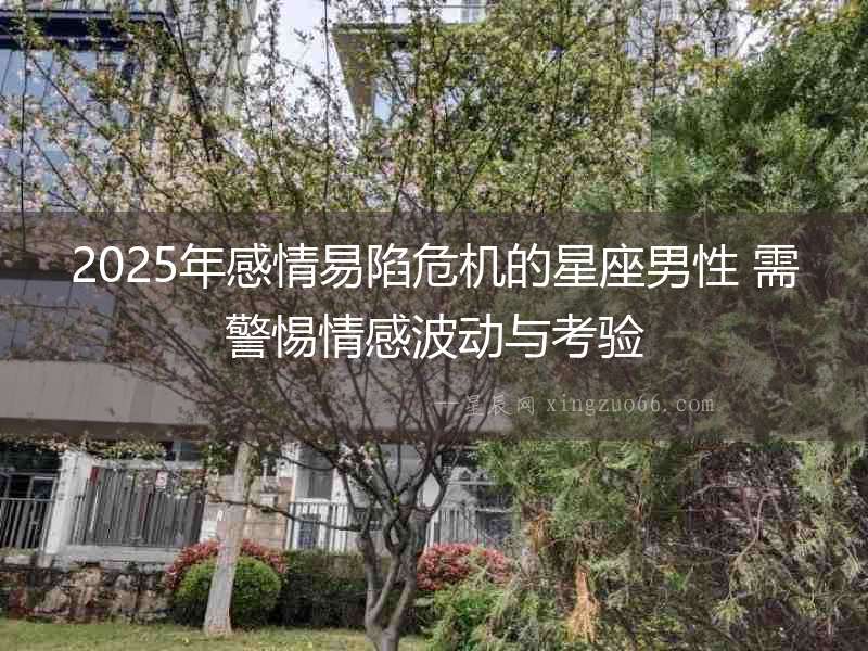 2025年感情易陷危機的星座男性 需警惕情感波動與考驗