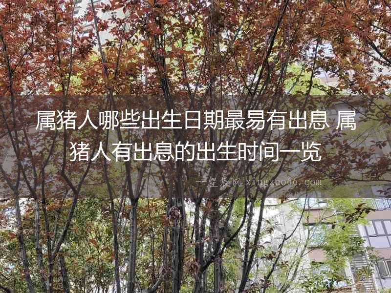 屬豬人哪些出生日期最易有出息 屬豬人有出息的出生時間一覽