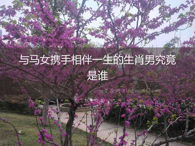 與馬女攜手相伴一生的生肖男究竟是誰