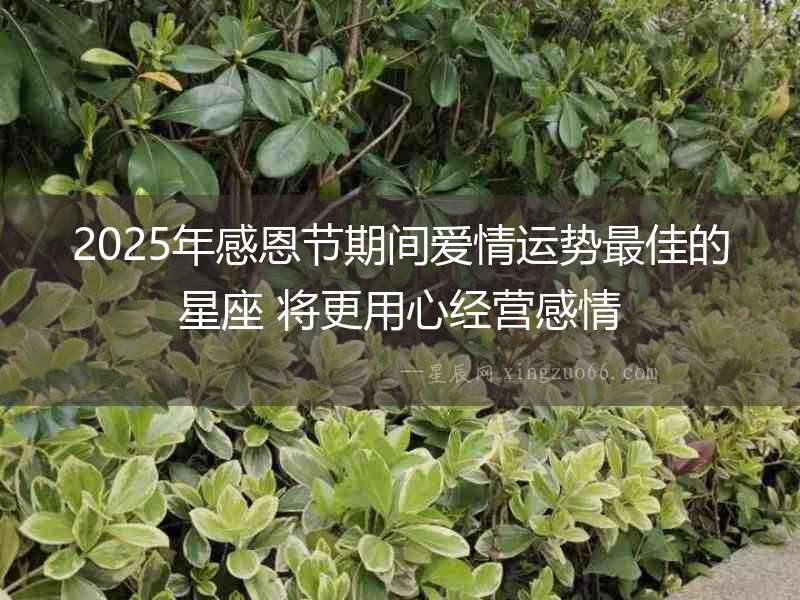 2025年感恩節期間愛情運勢最佳的星座 將更用心經營感情